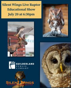 07.20.2026 Silent Wings Live Raptor Show Image of owls and hawks for Silent Wings Live Raptor Show