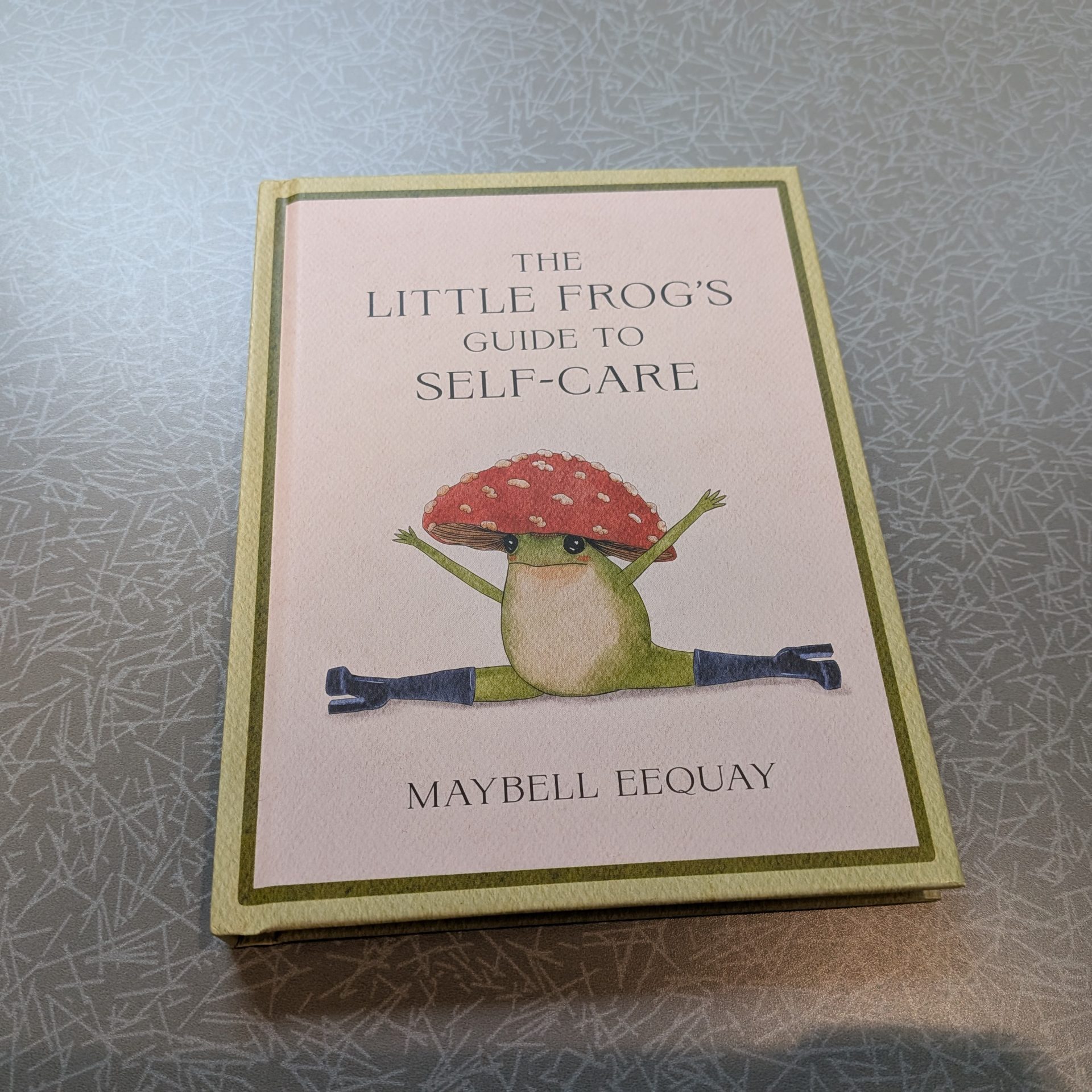 The Little Frog's Guide to Self-Care book