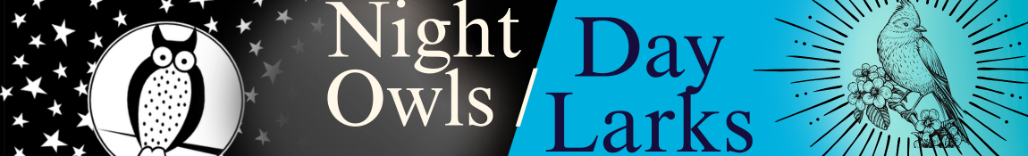 Website Banner Night OwlsDay Larks (1150 x 175 px) Night Owls/Day Larks book group banner