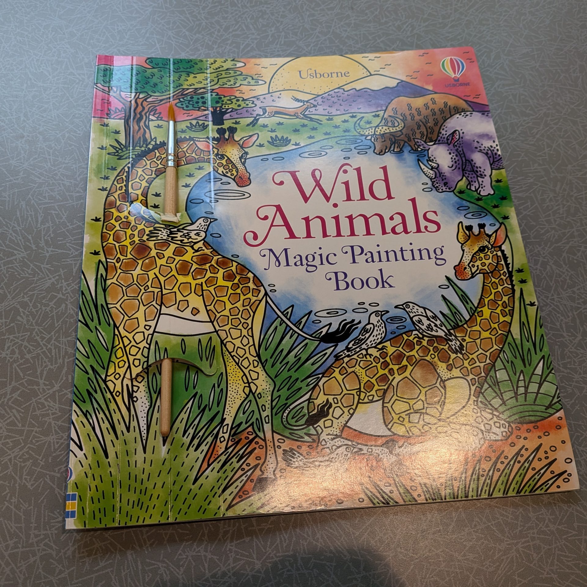 Wild Animals Painting Book