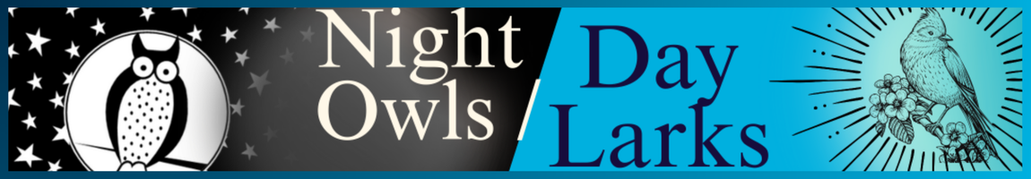 Night Owls/Day Larks book group banner