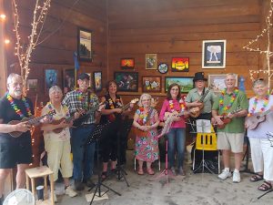 normanskill-strummers2